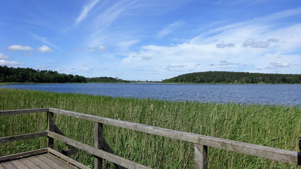 Müritz, Feisnecksee