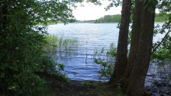 Müritz, Feisnecksee