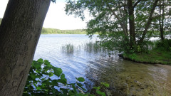 Müritz, Feisnecksee