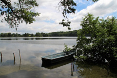 Müritz, Feisnecksee