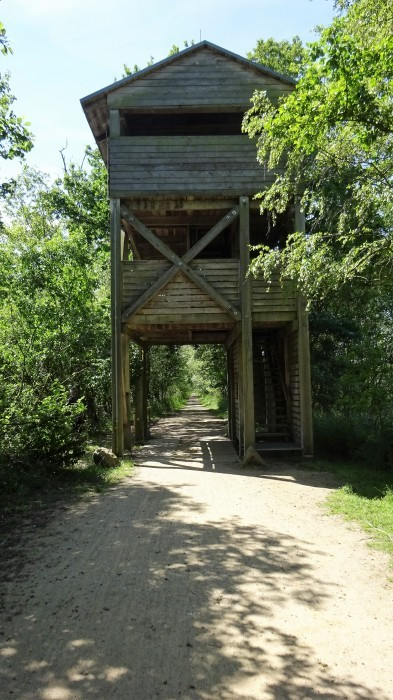 Müritz, Nationalpark