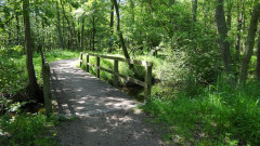 Müritz, Nationalpark
