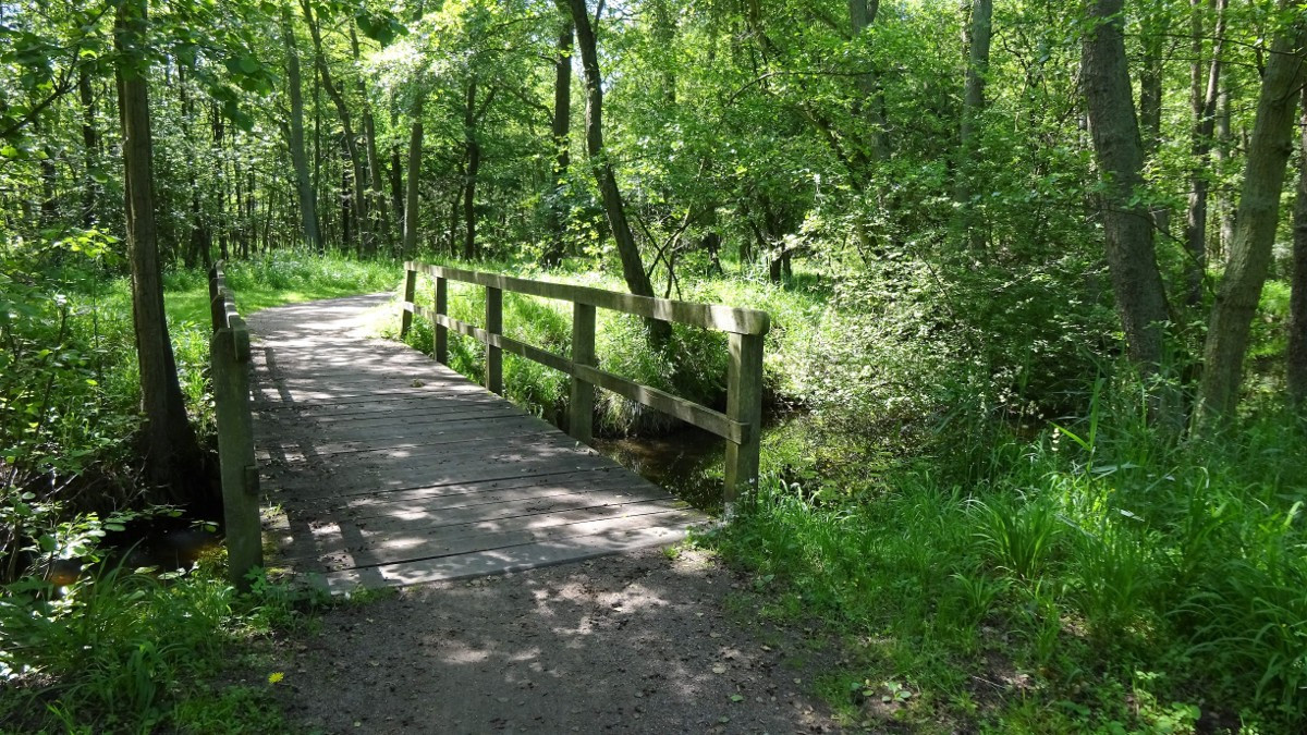 Müritz, Nationalpark
