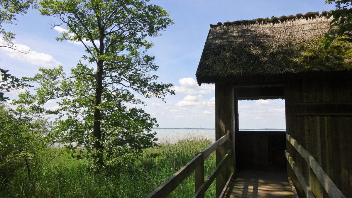 Müritz, Nationalpark