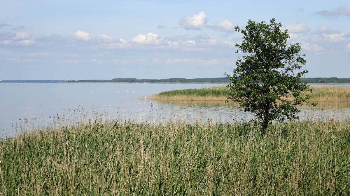 Müritz, Nationalpark
