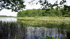 Müritz, Nationalpark