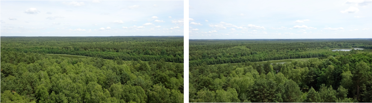 Müritz, Nationalpark