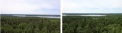 Müritz, Nationalpark
