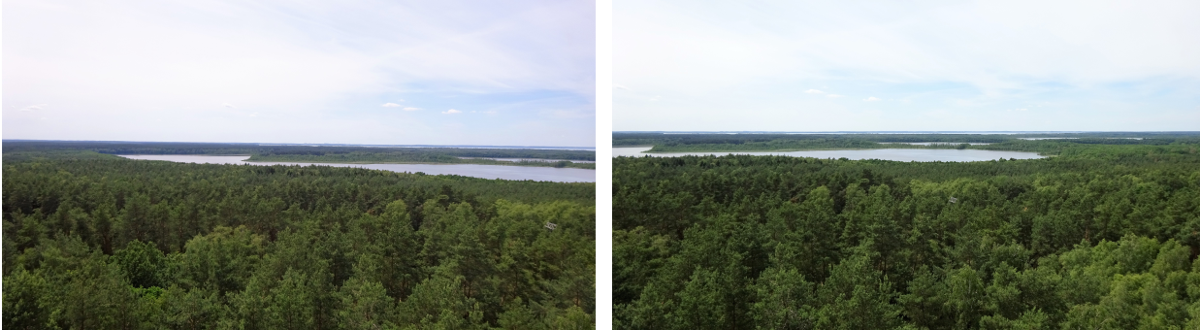 Müritz, Nationalpark