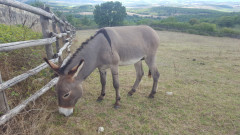 Toskana