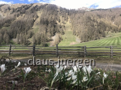 Schlinig Alm