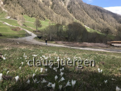 Schlinig Alm