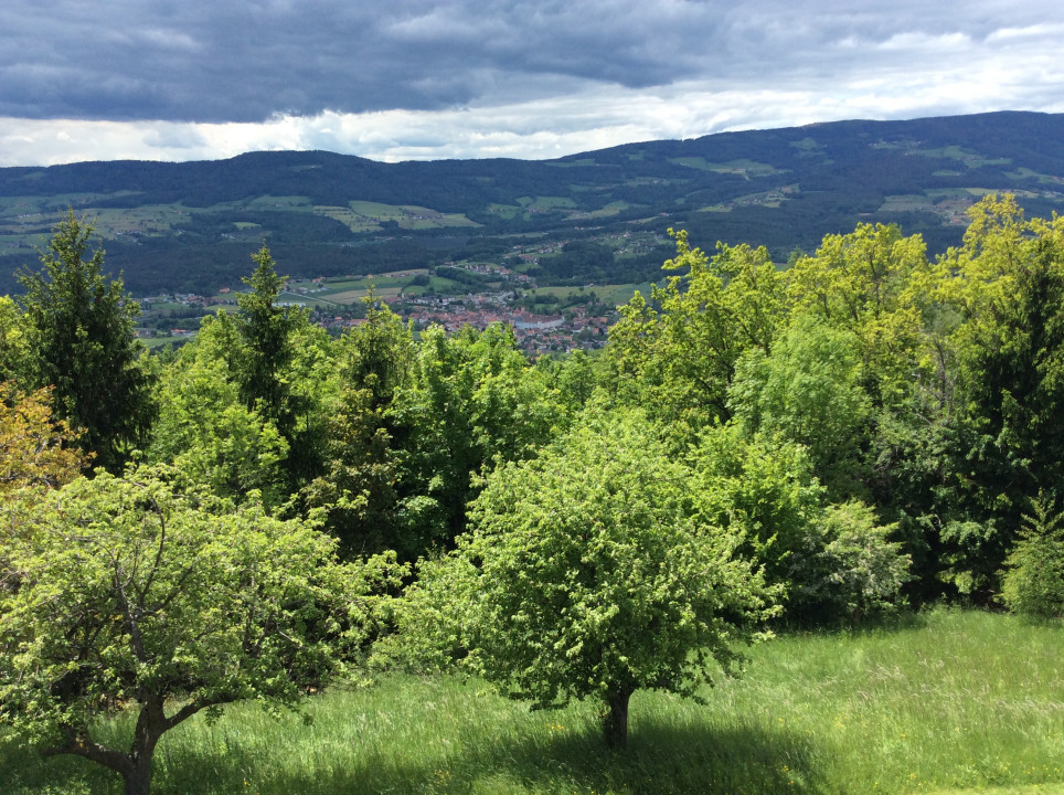 Pöllau und Pöllauberg < Nepomuk