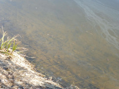 Wertachstausee Irsingen