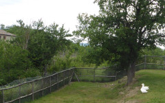 Pentolina