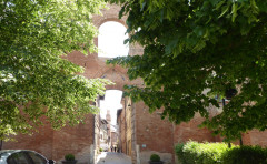Buonconvento (4)a