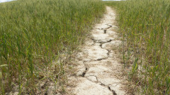 Crete (11)