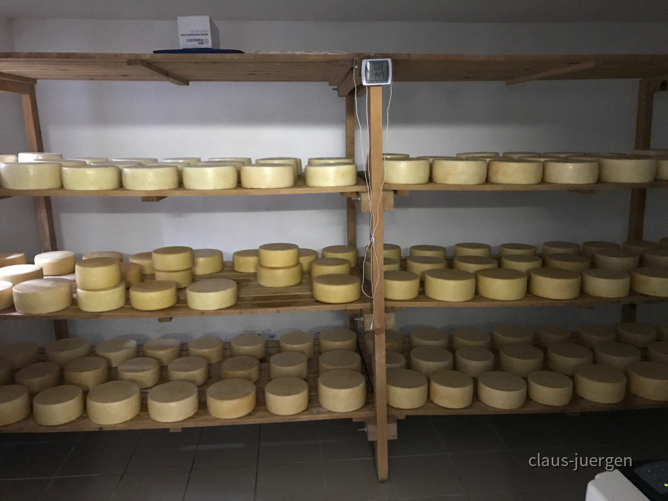 70375C01-53C7-4C12-8025-7920E1ACCE8B