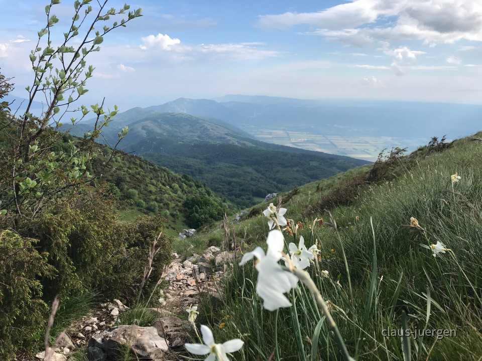 288CB8EC-05E1-4354-9B94-9C5D4091C6CD