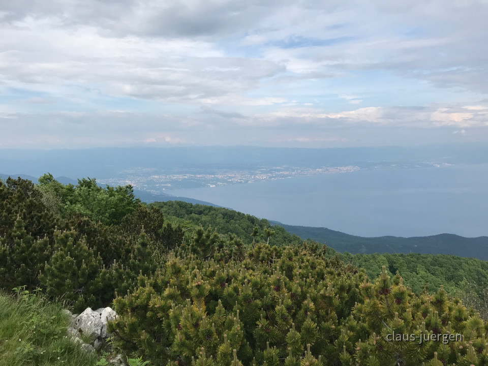 915BE677-A003-444C-9F14-7165F57FD785