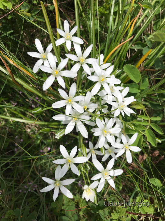 87F803C2-D589-479D-B767-4A1BEC651C03