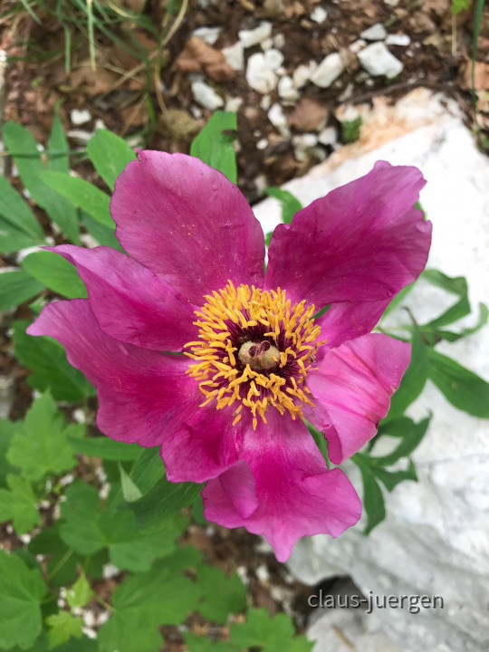 5D839207-C8E5-485A-9C57-0EC3812C7D36