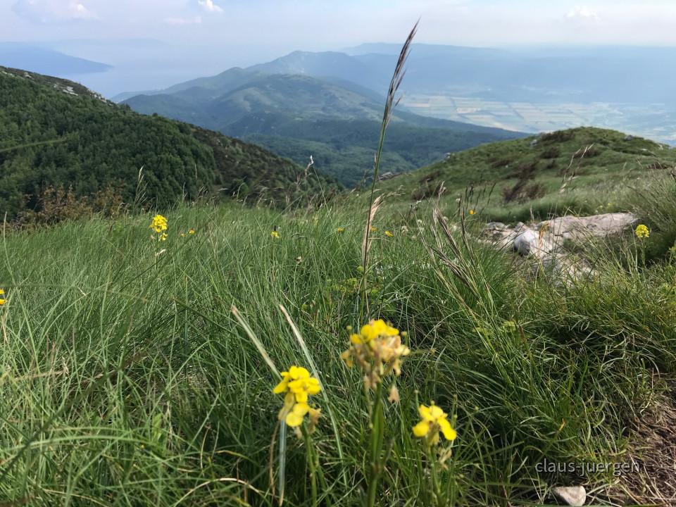 5C7CBEA6-EA9E-4D23-83B4-48E4F1F977E0