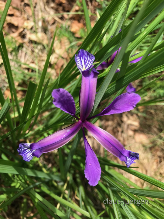 8328A0C1-4582-49B6-B898-D2623196124A