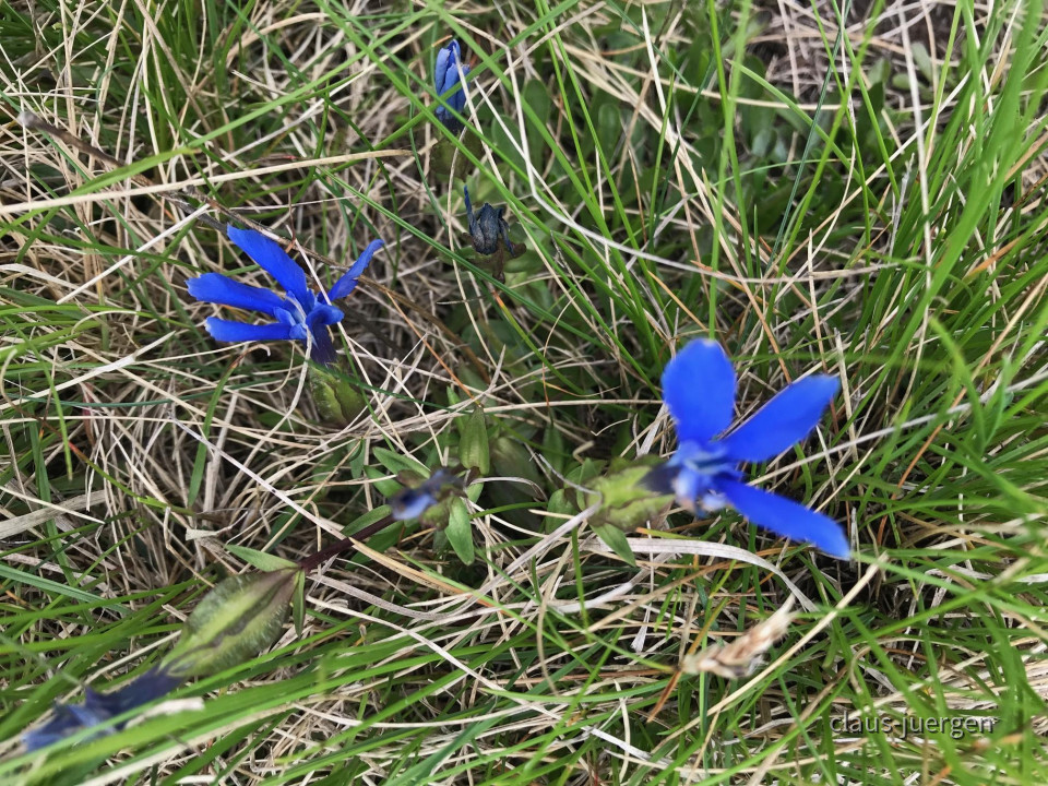 0529C119-C905-4DF3-991A-4705B7BCF280