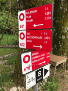 239B28E3-EC74-450E-812E-B08435A98D96