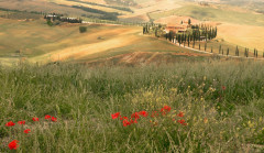 Crete (22ab (2)