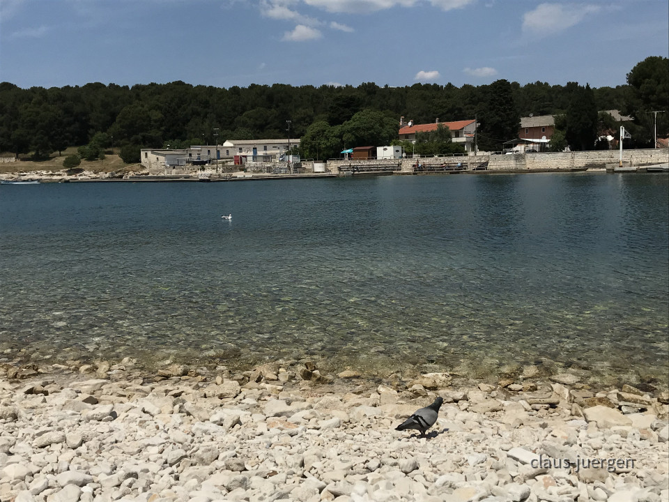 379F50C0-81D7-43E6-939E-44511CA09A65