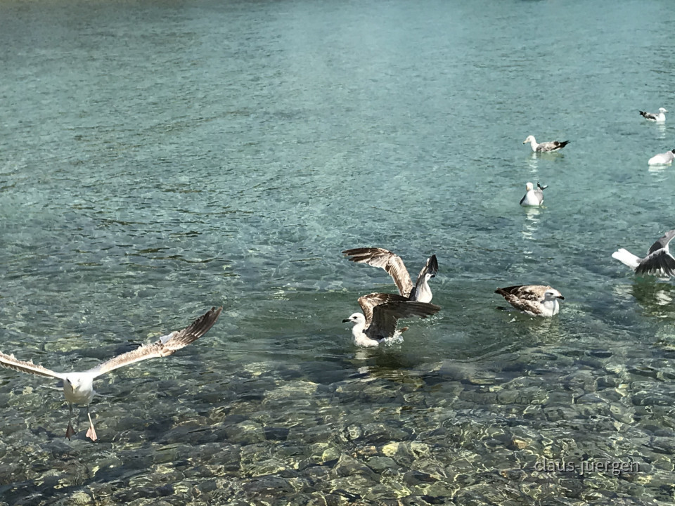 1653C385-80EC-4894-88E0-CD18857F6339