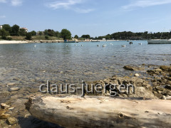 63F34DA8-5724-4ED1-B365-B3FA940DDEFB