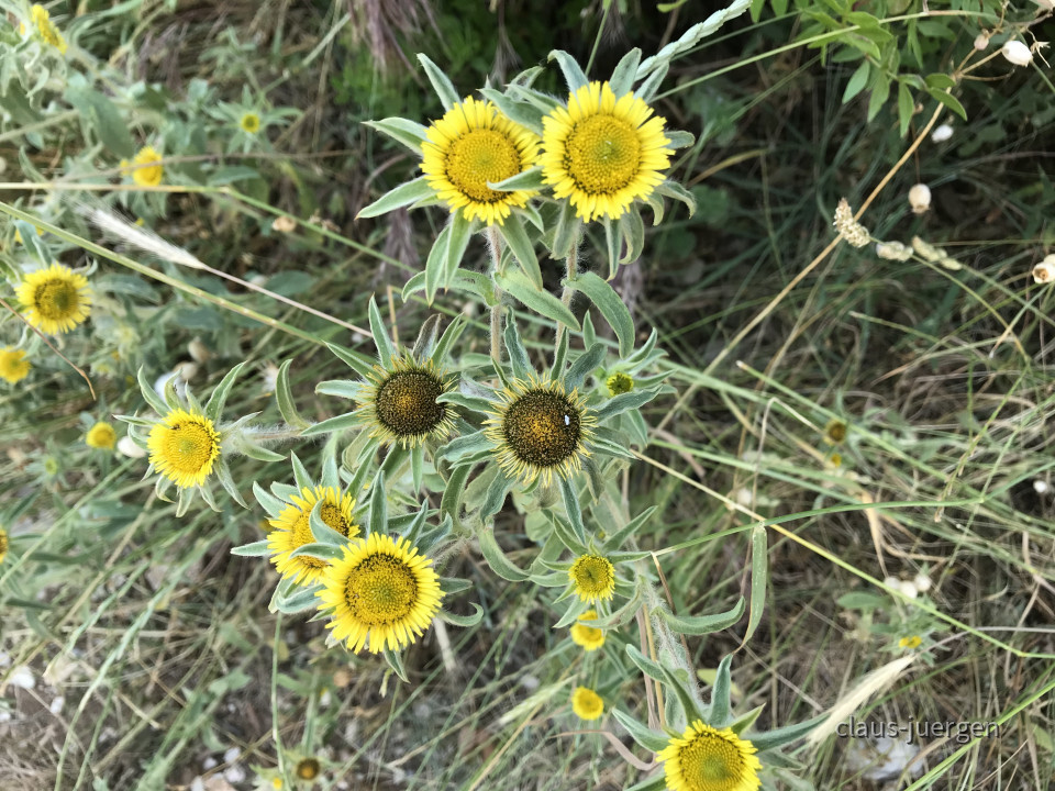 3837F098-644C-47CA-81F6-A033D32EC21C