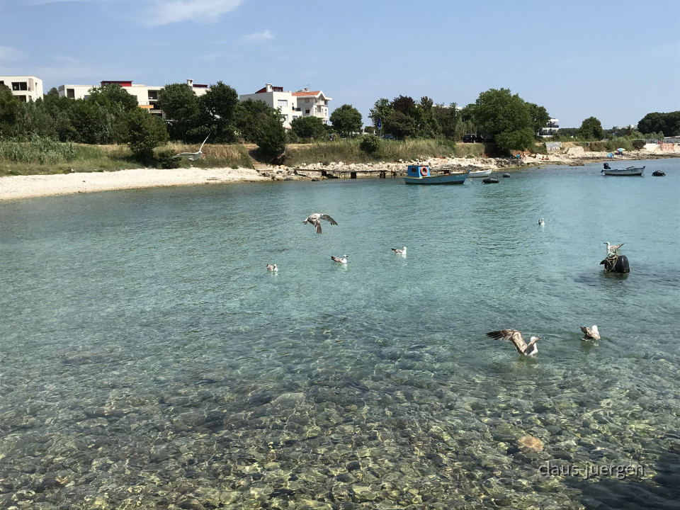 22639B44-9266-4DE0-BEB7-61B5E4EED0DA