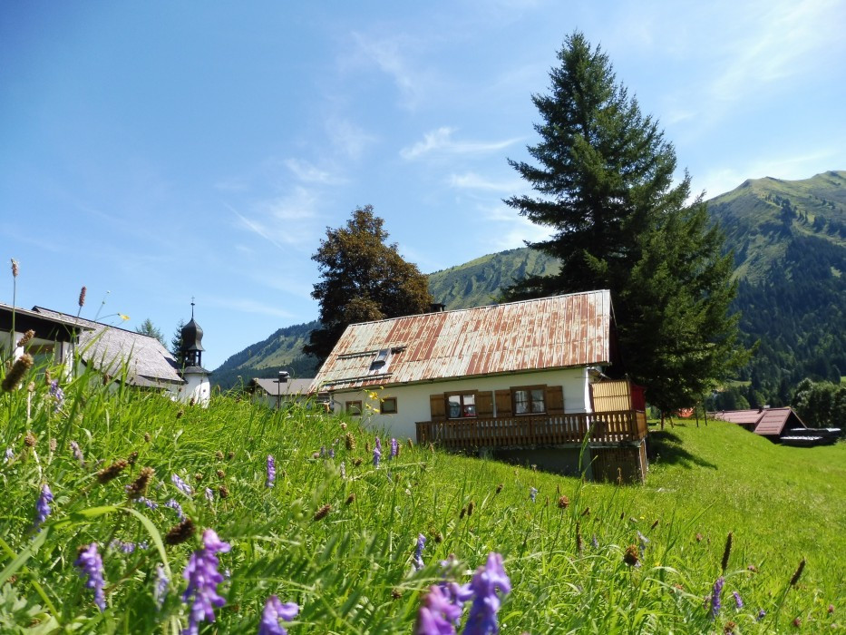 Kleinwalsertal Naturbrücke