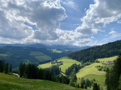 Weitblick