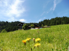 Kleinwalsertal Naturbrücke