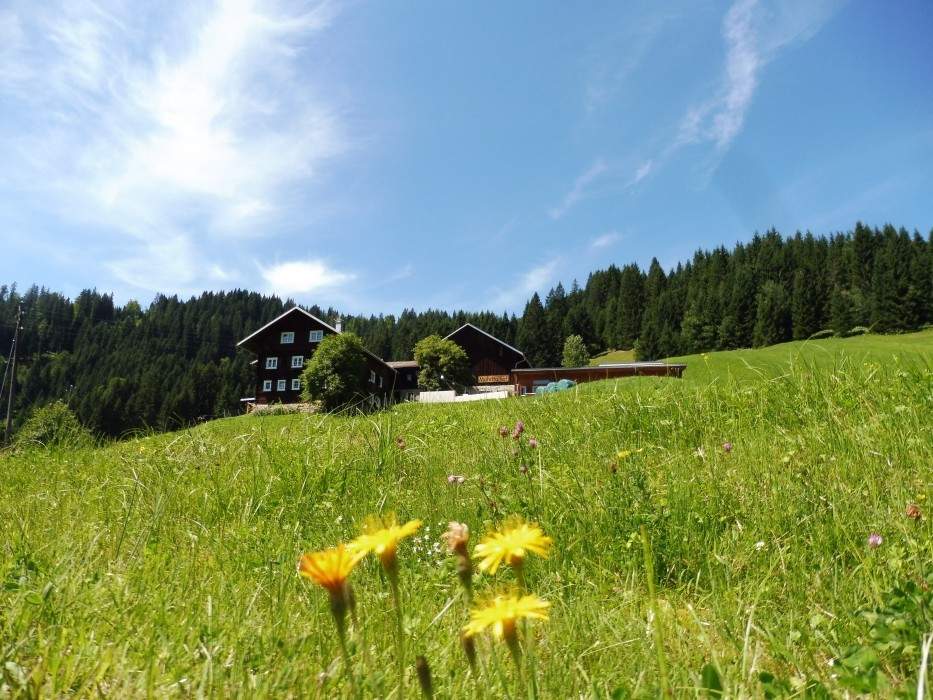 Kleinwalsertal Naturbrücke
