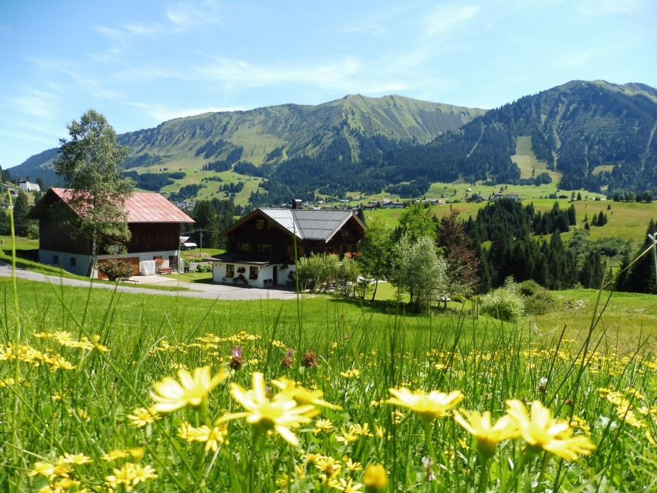 Kleinwalsertal Naturbrücke