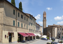 Montalcino (60) P