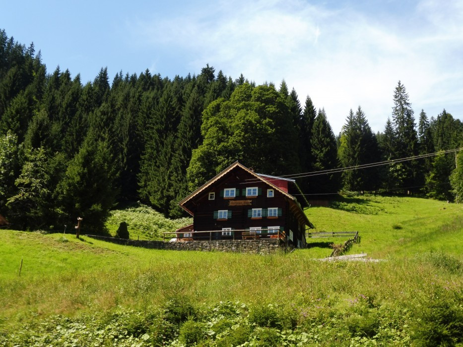 Kleinwalsertal Naturbrücke