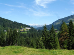 Kleinwalsertal Naturbrücke