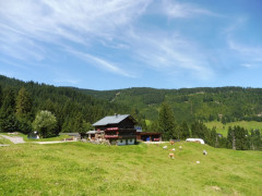 Kleinwalsertal Naturbrücke