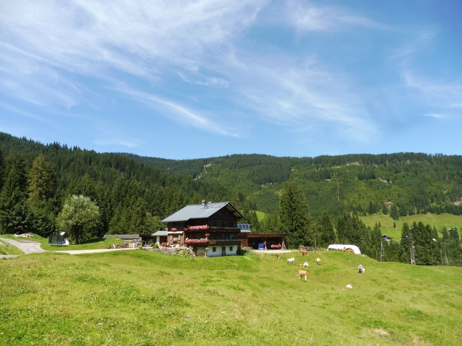 Kleinwalsertal Naturbrücke
