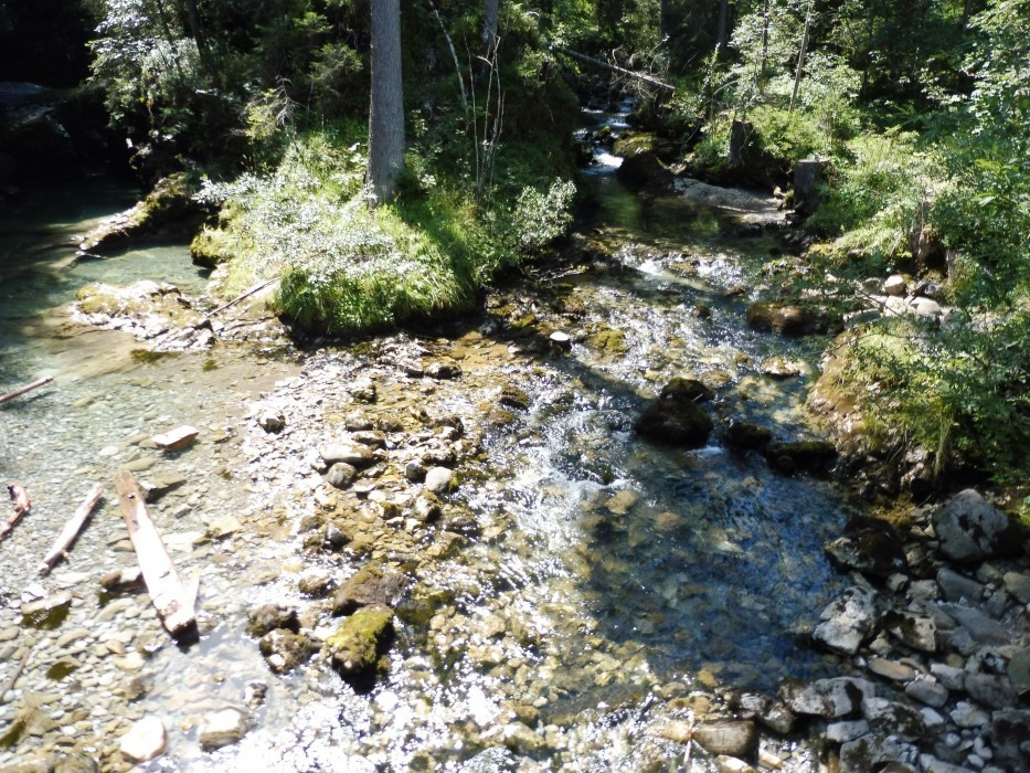 Kleinwalsertal Naturbrücke