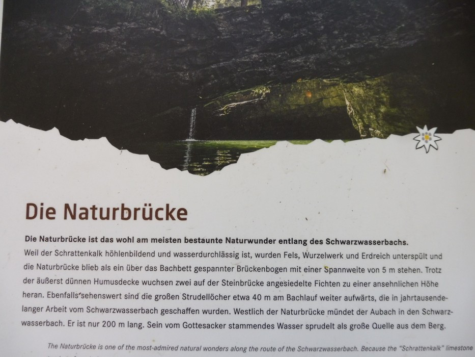 Kleinwalsertal Naturbrücke