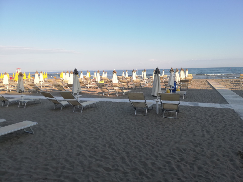 Grado