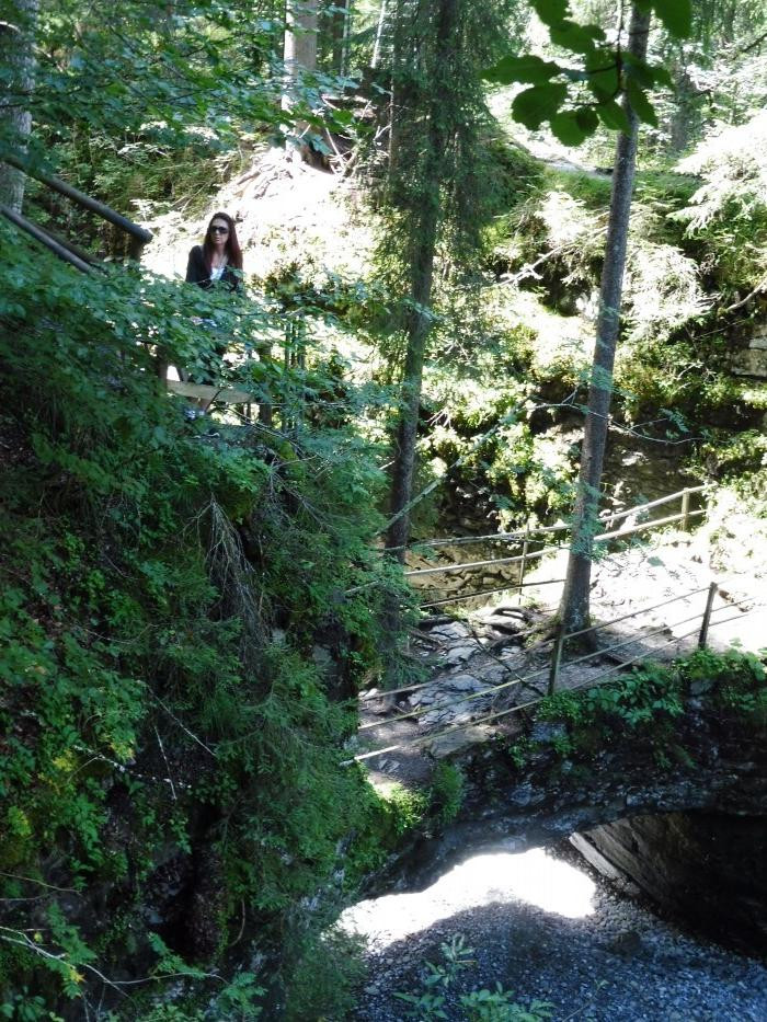 Kleinwalsertal Naturbrücke
